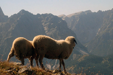 Italy-Northern Italy-Nature Park Hike in the Dolomites